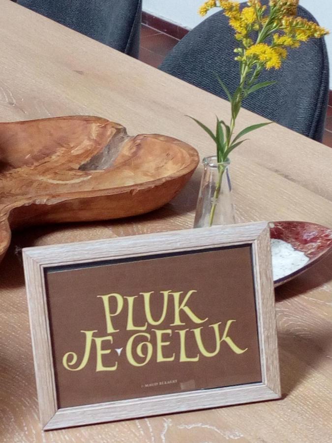 Letteratelier Driesprong Lejlighed Oedelem Eksteriør billede